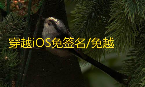 穿越iOS免签名/免越狱【焚天】辅助